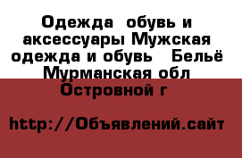 Одежда, обувь и аксессуары Мужская одежда и обувь - Бельё. Мурманская обл.,Островной г.